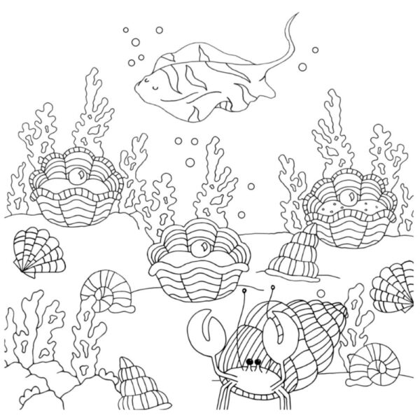 Delux Colouring Book Hand Illustrated Sea Theme